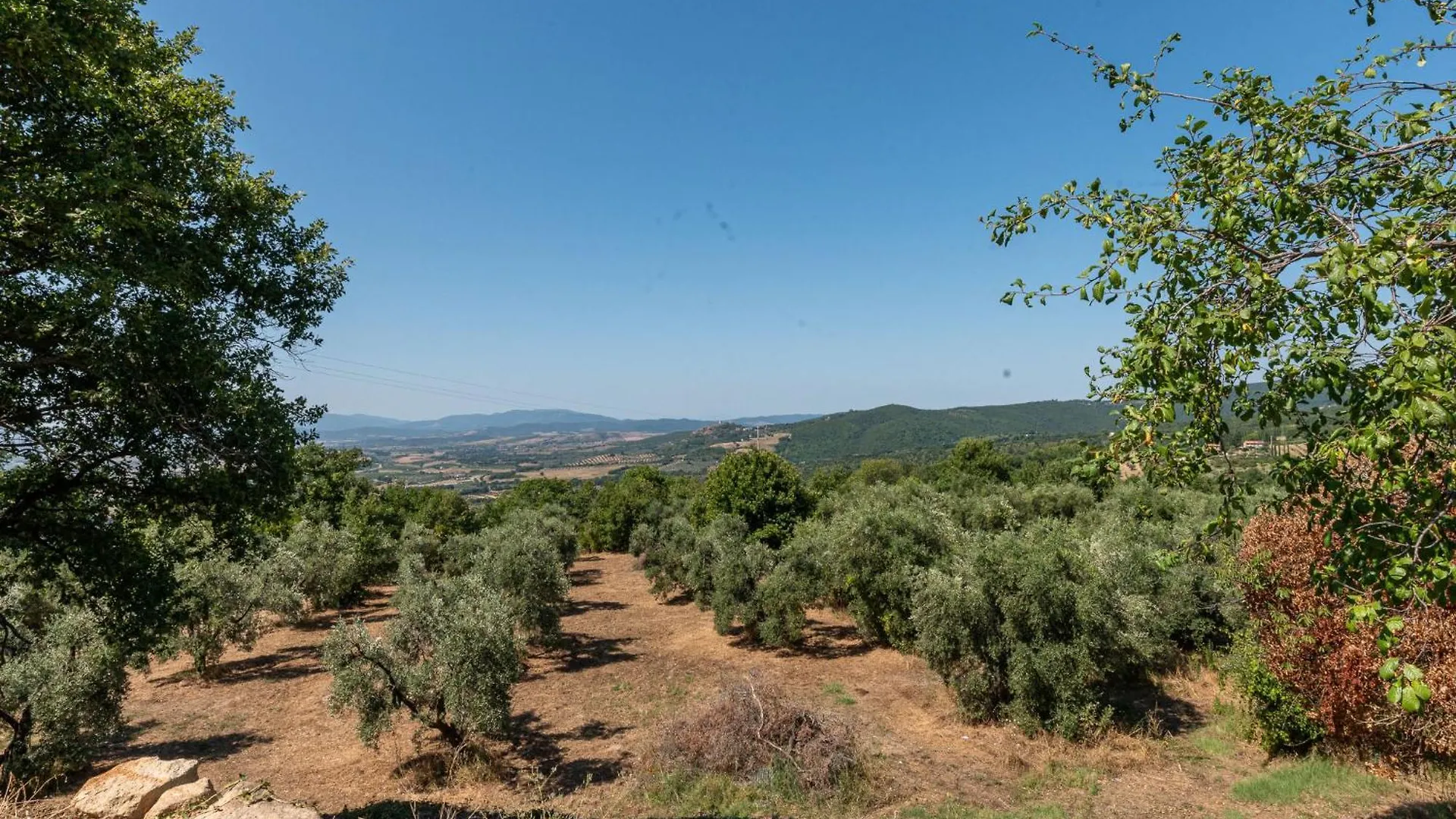 Holiday Home Oasi Di Benessere Bio By Interhome Sassofortino